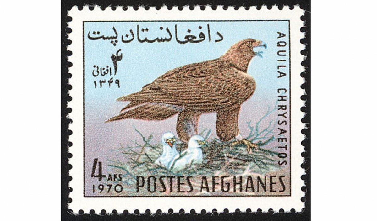 Antiques-Afg (29)