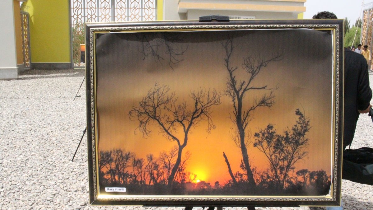 Gallery-Women-herat-university (11)