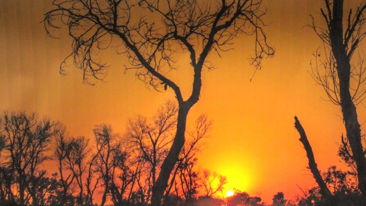 Gallery-Women-herat-university (12)