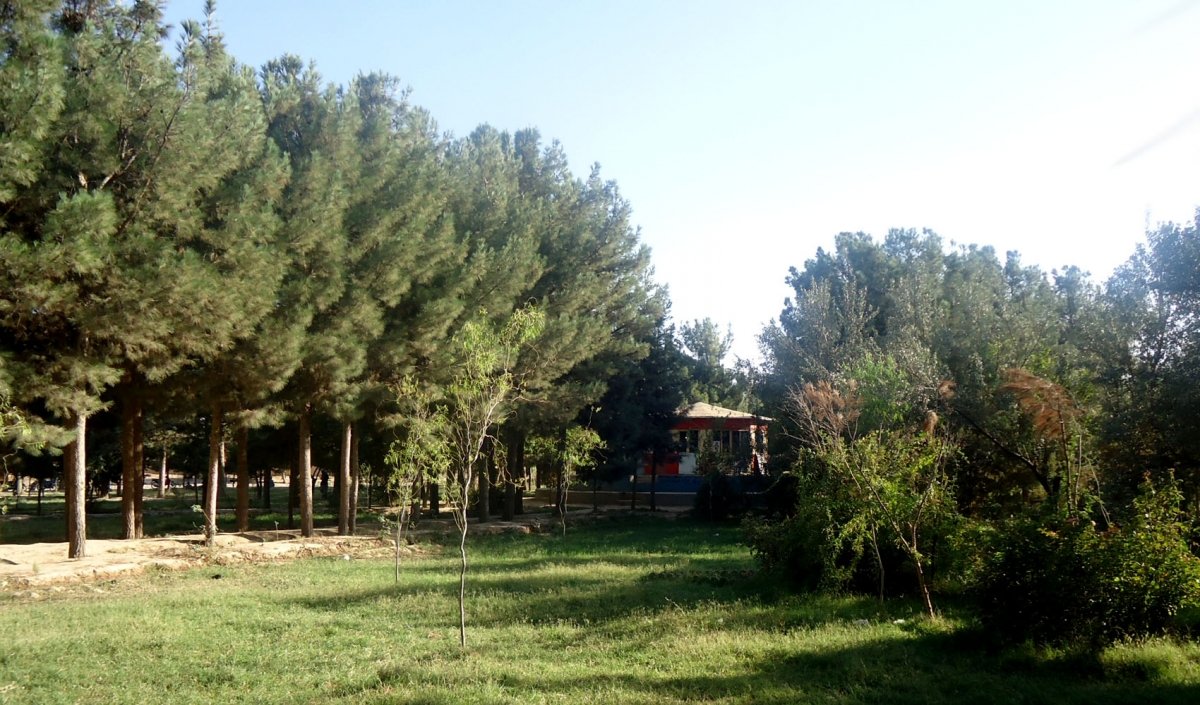 Ghoriyan-District-herat-afg (15)