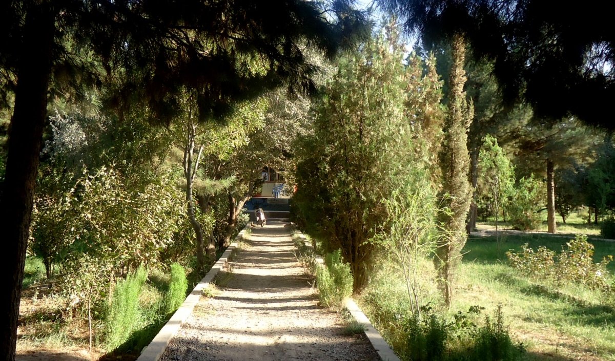 Ghoriyan-District-herat-afg (16)