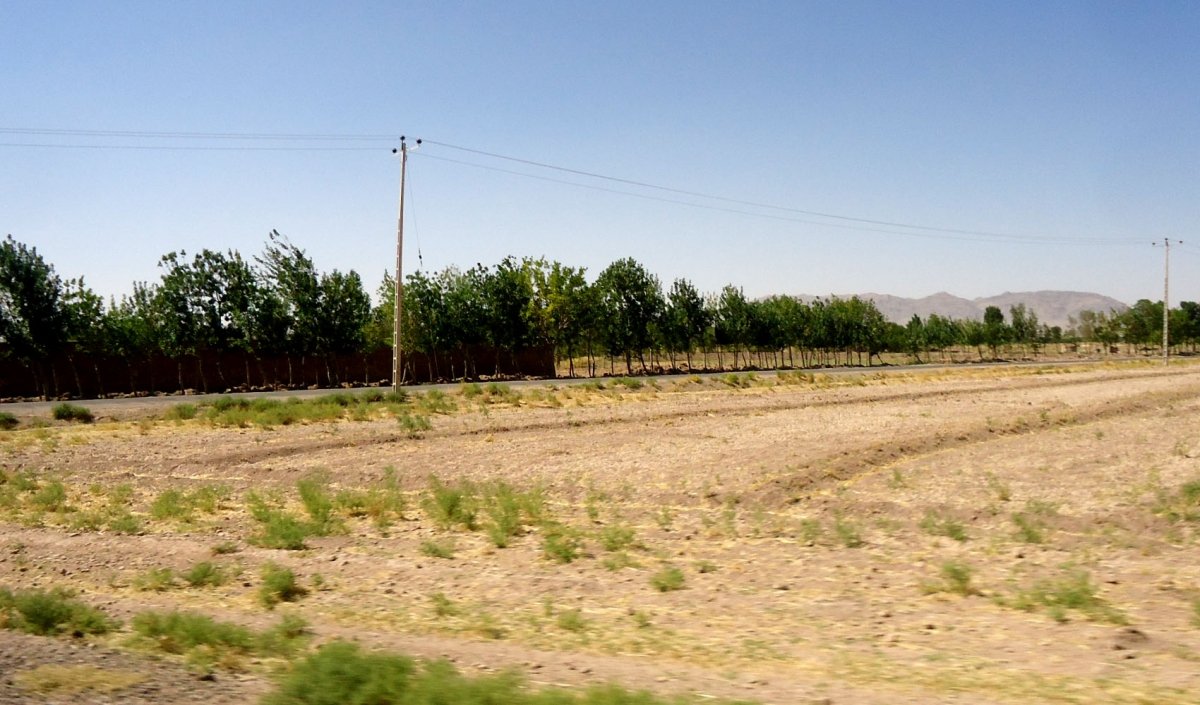 Ghoriyan-District-herat-afg (2)