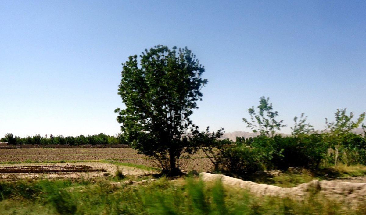Ghoriyan-District-herat-afg (4)