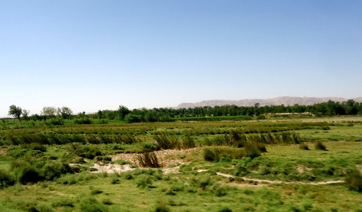 Ghoriyan-District-herat-afg (5)