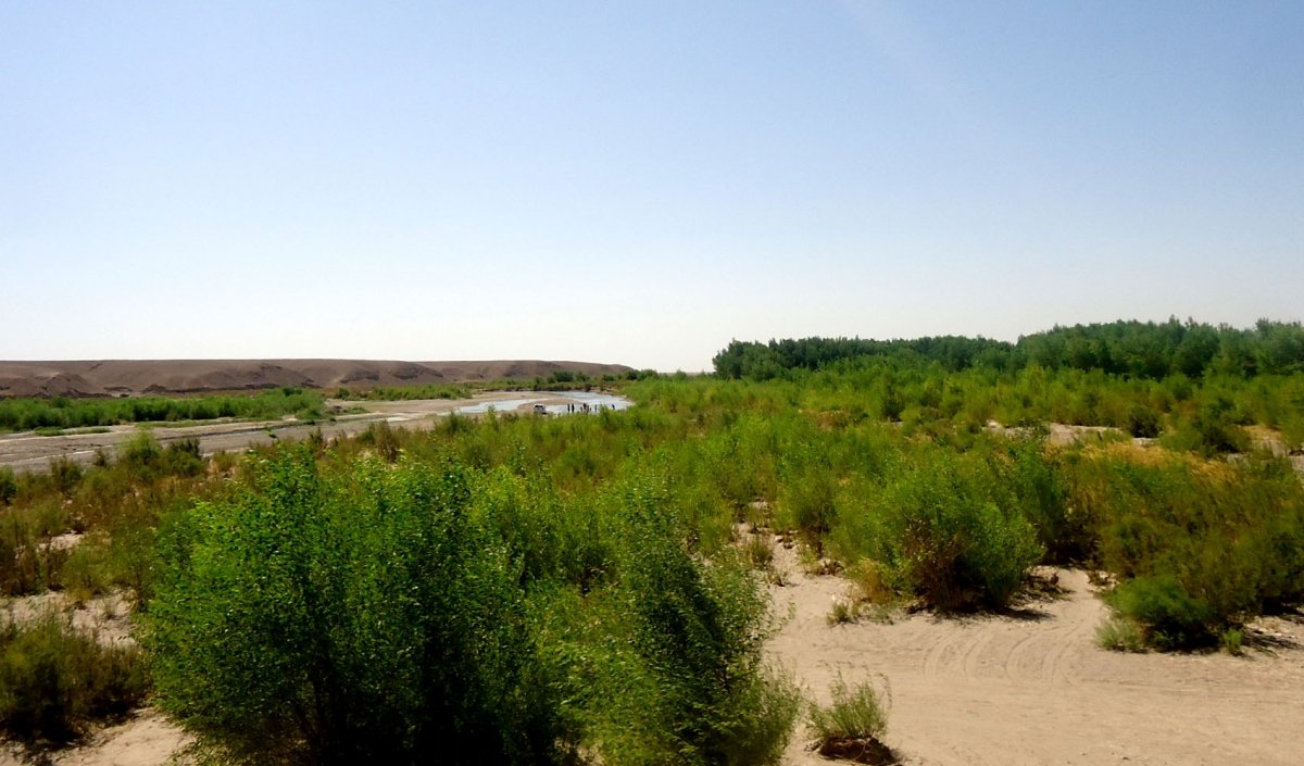 Ghoriyan-District-herat-afg (7)