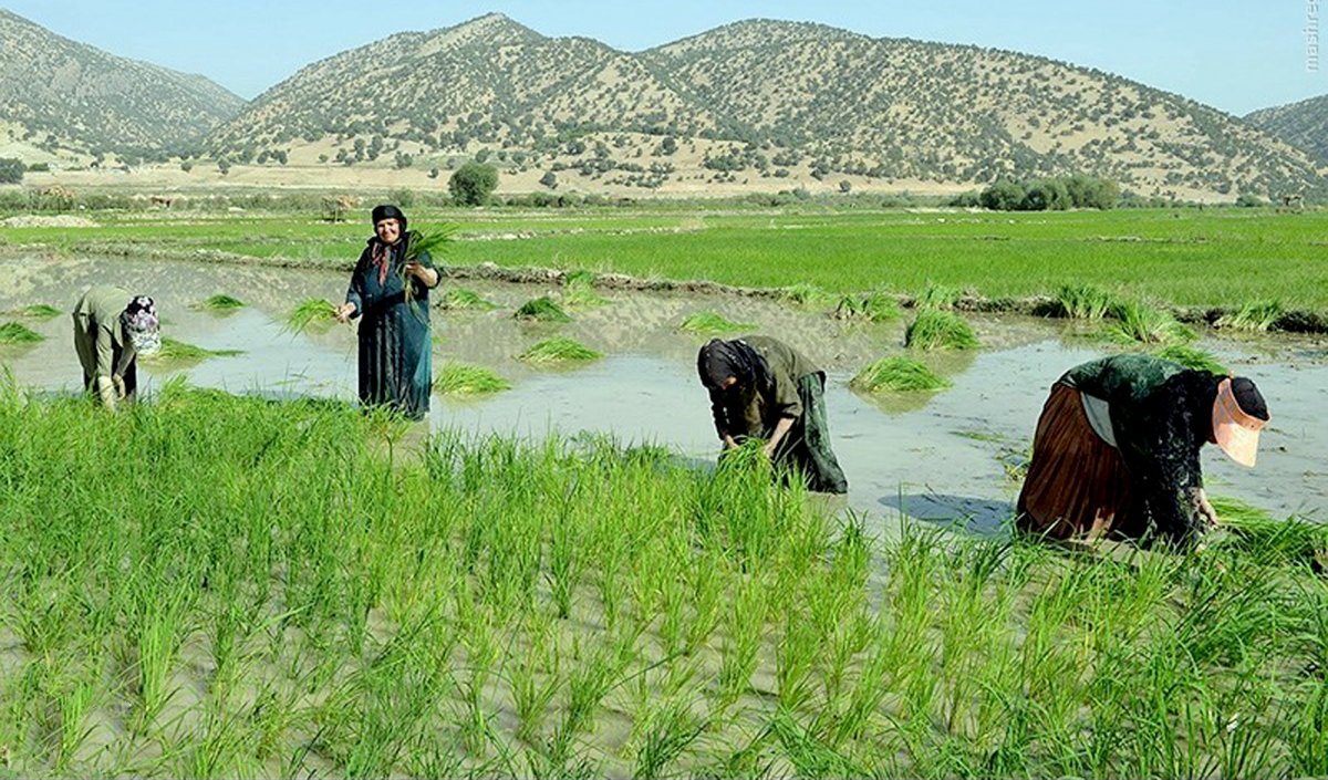 Sahli (5) 
