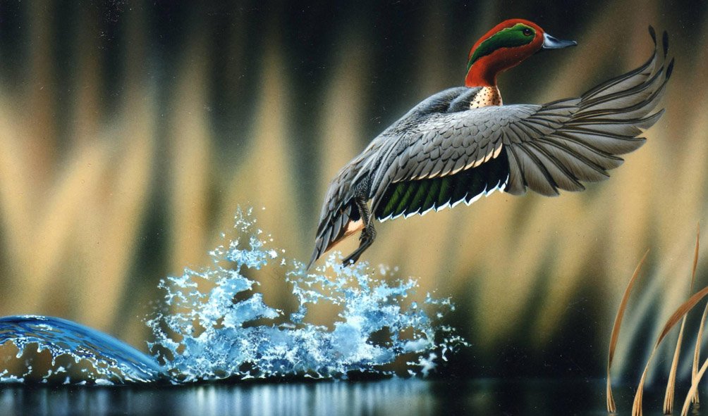 Wildlife (23)